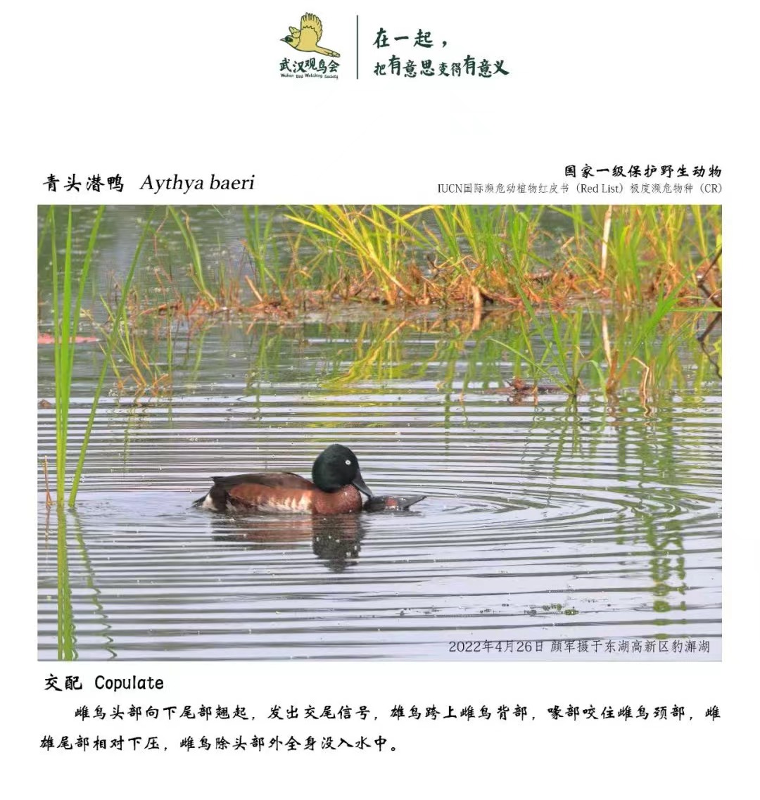 1667562526651113.jpeg 繁殖.jpeg