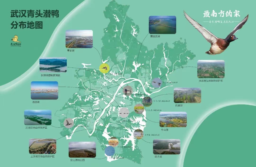 1667562620166637.jpeg 分布图.jpeg