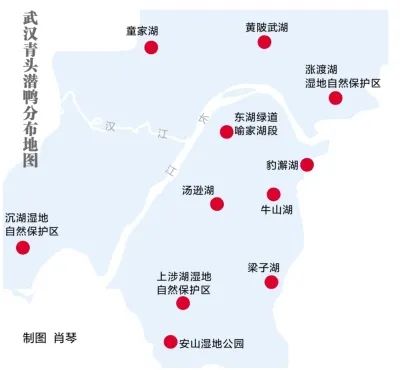 1667562640648506.jpeg 分布地图.jpeg