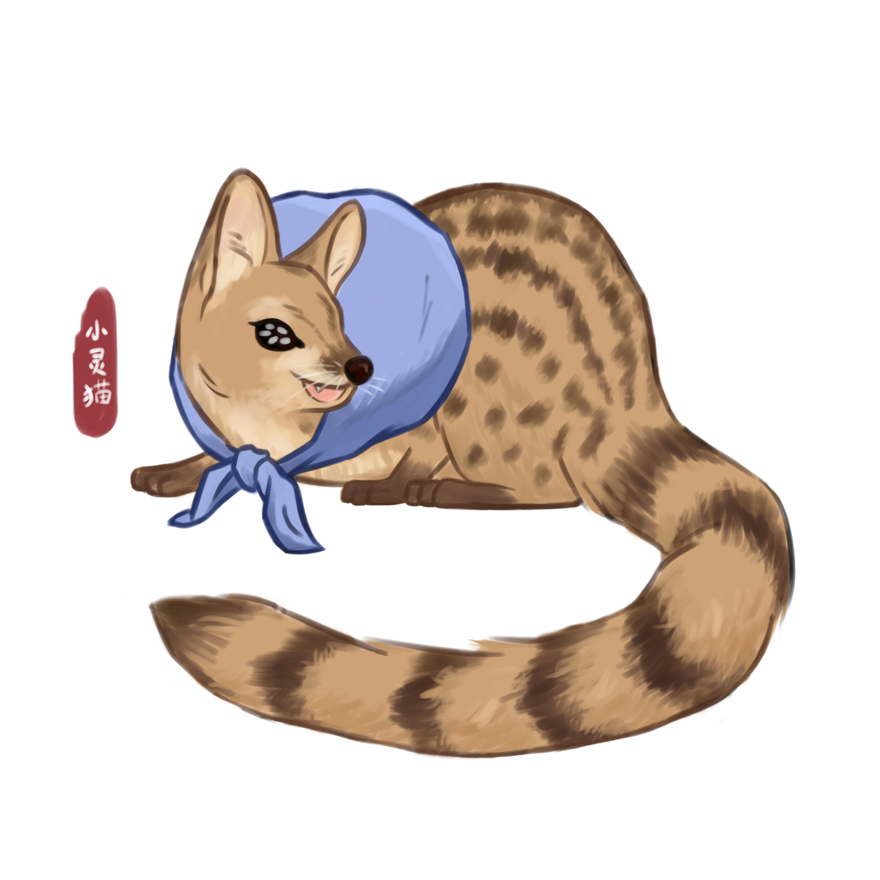 猫.jpg